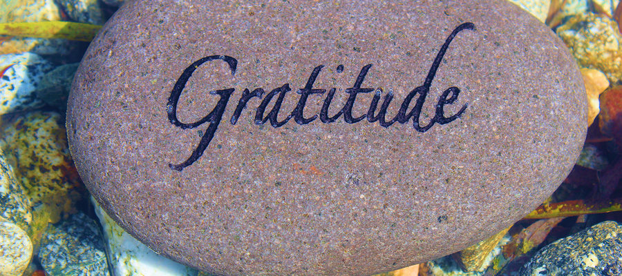 Gratitude Poem